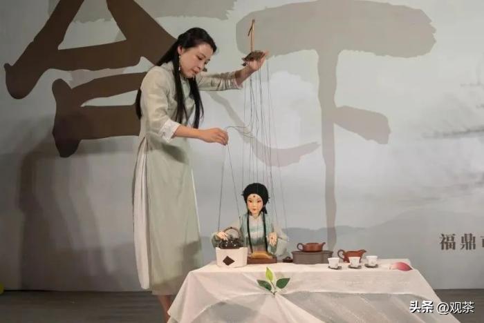 时光茗享会第33站丨福鼎白茶合天下