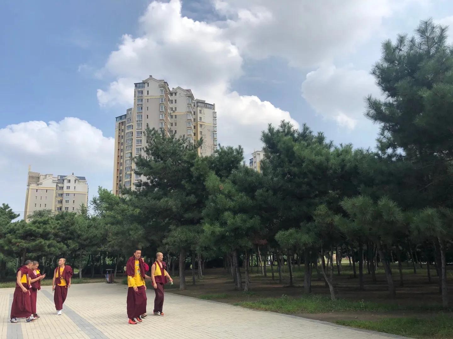 抗癌日记：护国*轮法**寺以及静心带给我的疗愈