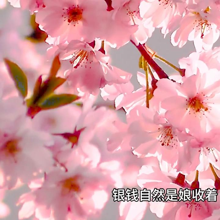 半路杀出个侯夫人好看吗,半路杀出个侯夫人趣书网