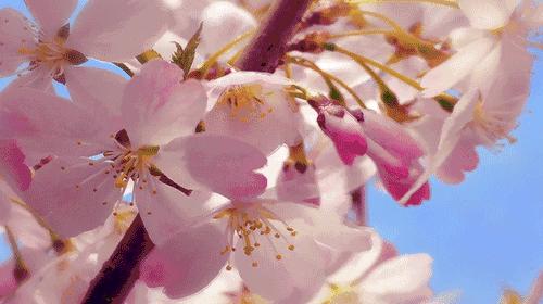 广东省惠州市小孩改名字要带什么,惠州小孩更改名字需要什么资料