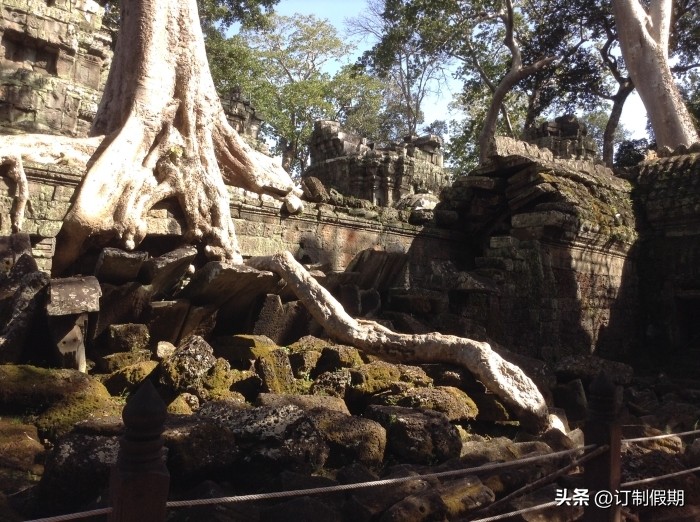 柬埔寨天空吴哥航空公司,天空吴哥航空机队