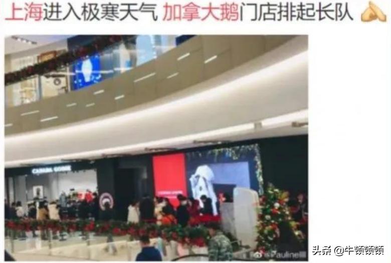 世界上最贵的棉袄多少钱,世界最贵的袄