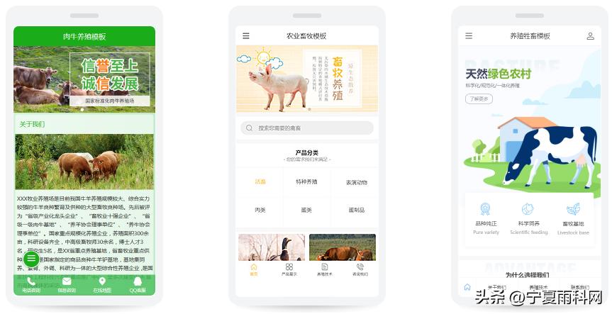 农业养殖网站建设,畜牧业网站建设