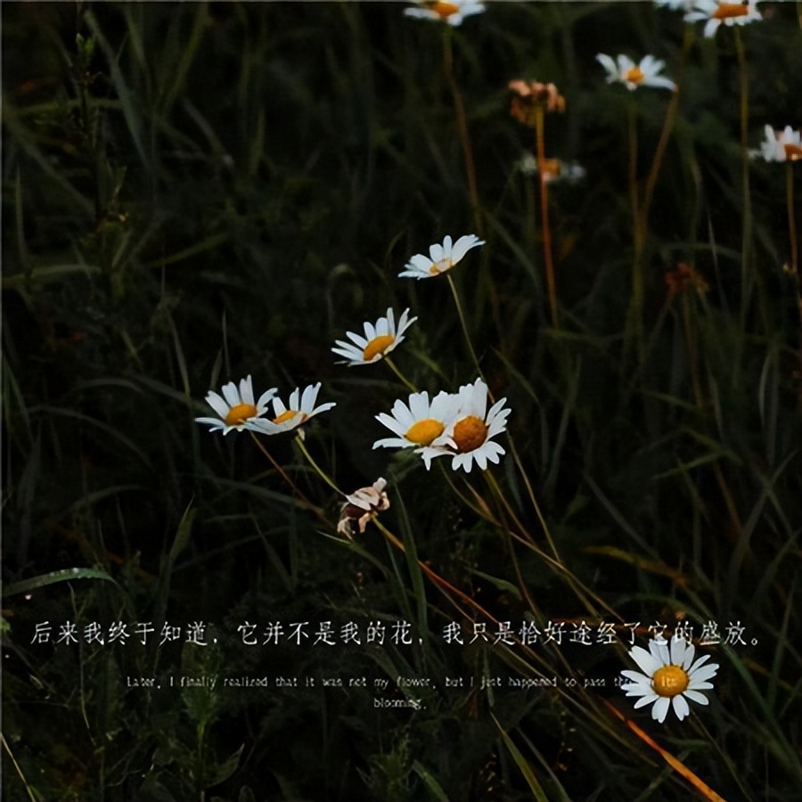 蕴含人生哲理的伤感图片,失望极了的伤感图片