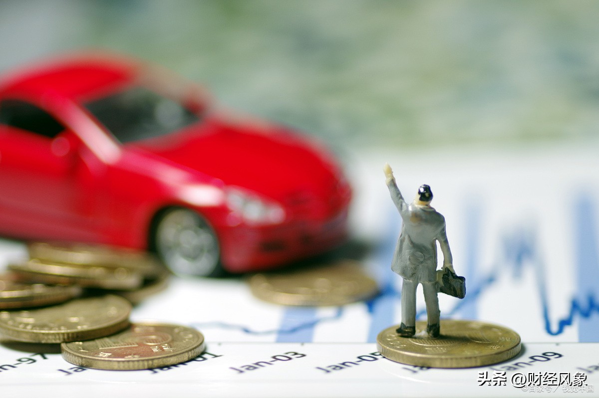 庞大集团有没有正式退出a股市场,退市的庞大集团还会上市吗