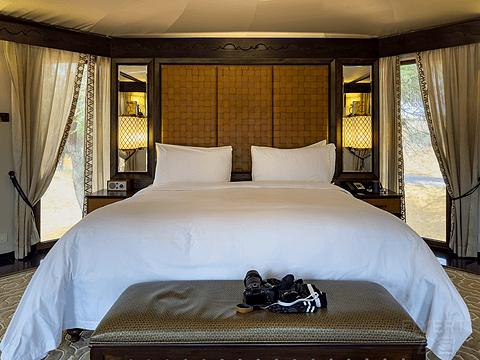 阿联酋丽思卡尔顿,阿联酋野奢帐篷