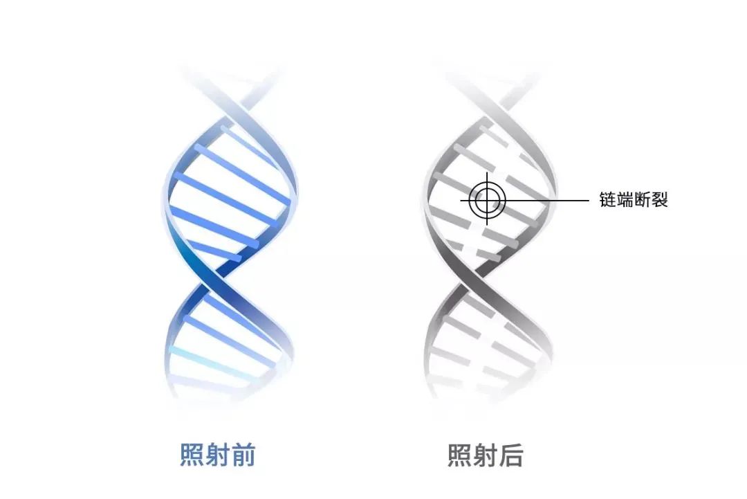 疫情反复家庭必备药品,疫情反反复复让我们珍惜当下