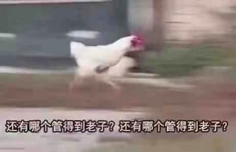 辞职回家文案短句干净,辞职退群文案简短干净