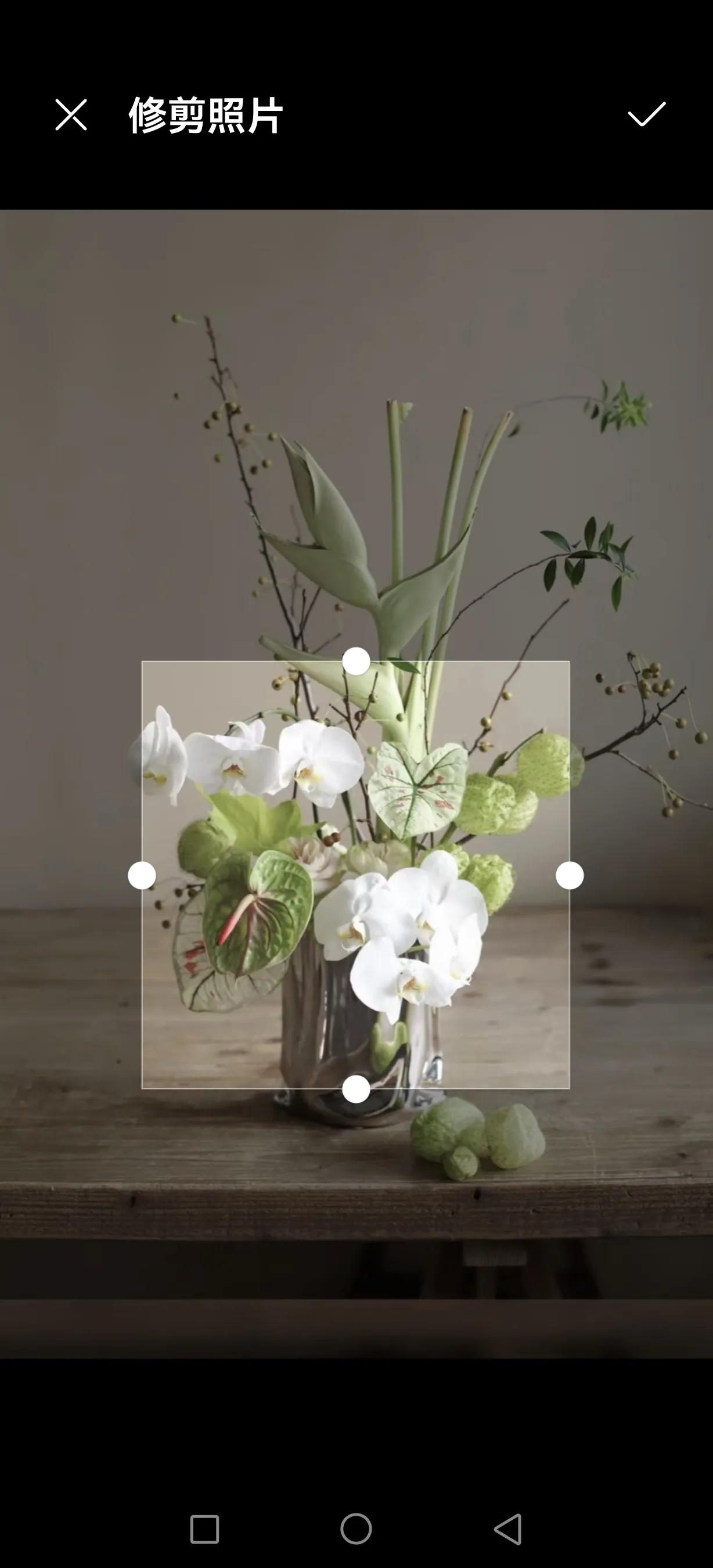 更改手机软件图标和名称怎么改,更改手机软件图标的软件