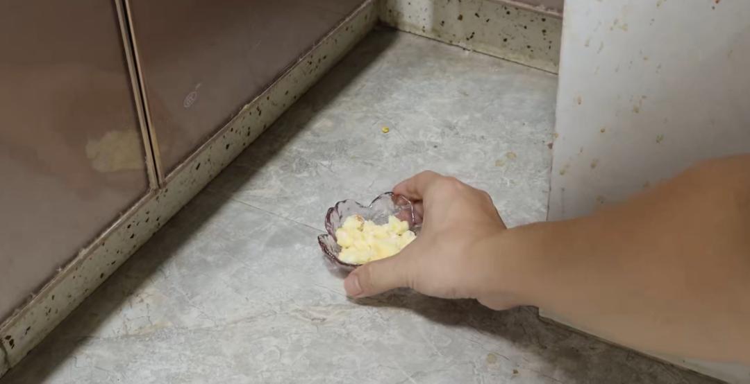 家里出现蚂蚁应该怎样应对,家里有蚂蚁教你一招彻底消灭