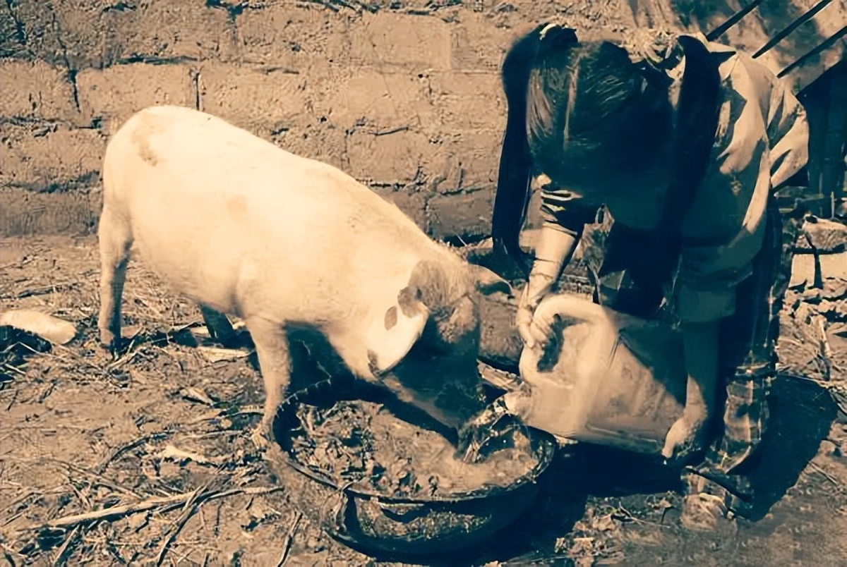 1996年，16岁少女为养家三度*血卖**，意外死后三个哥哥为她披麻戴孝