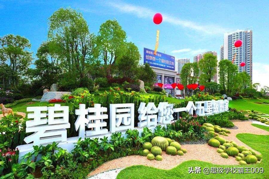 碧桂园是最良心的房企吗,碧桂园为什么是宇宙第一房企