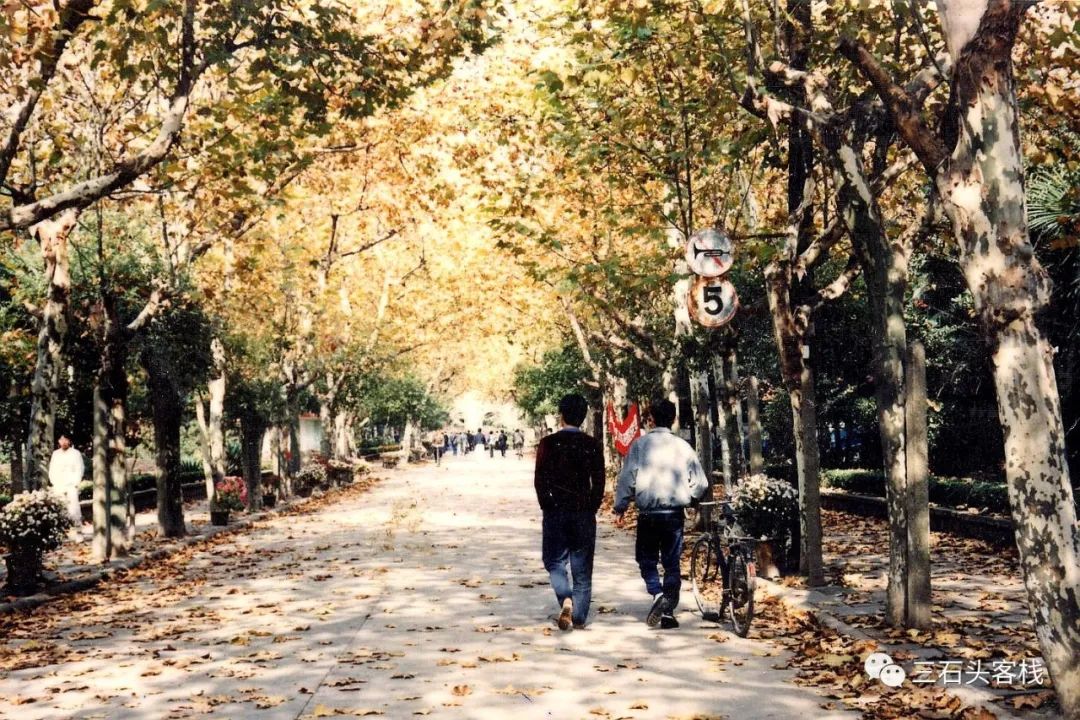 逝去的歌完整版,逝去的歌谁唱的