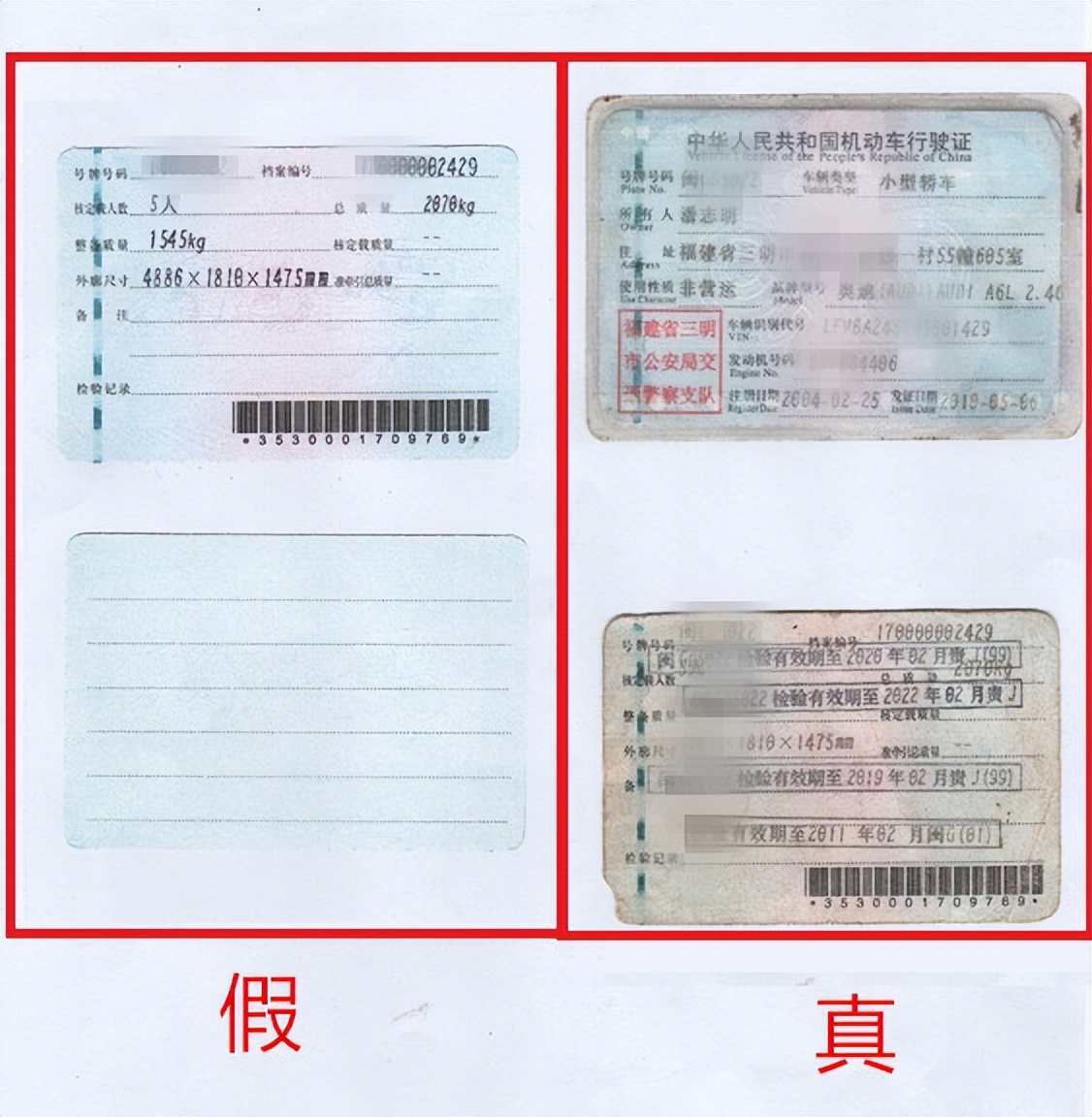 带着网购“*证假**”去处理违法，结果……