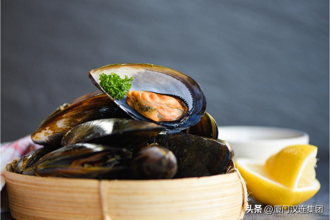 输韩水生动物通关要求提出了更高标准，带你了解出口全流程！