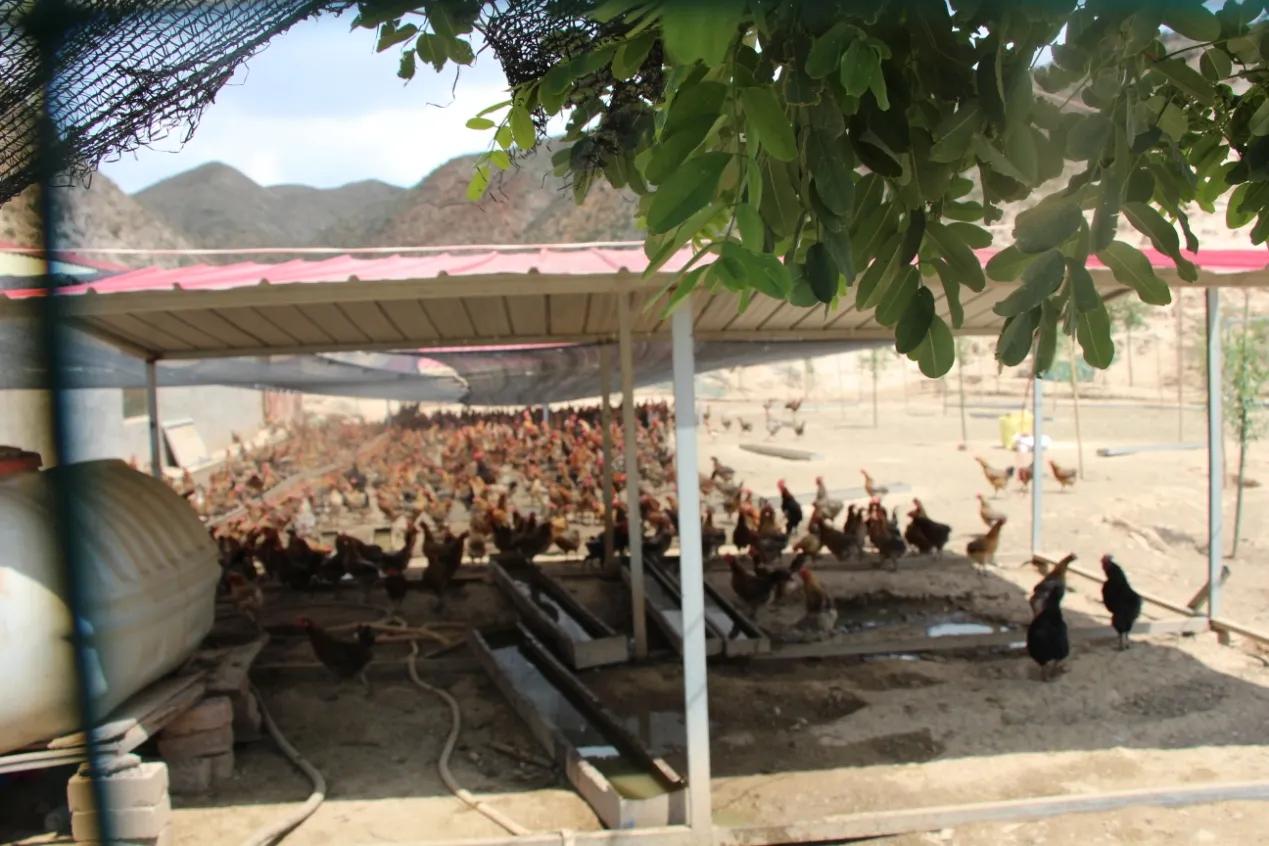 甘肃景邦,甘肃景邦环保科技有限公司怎么样