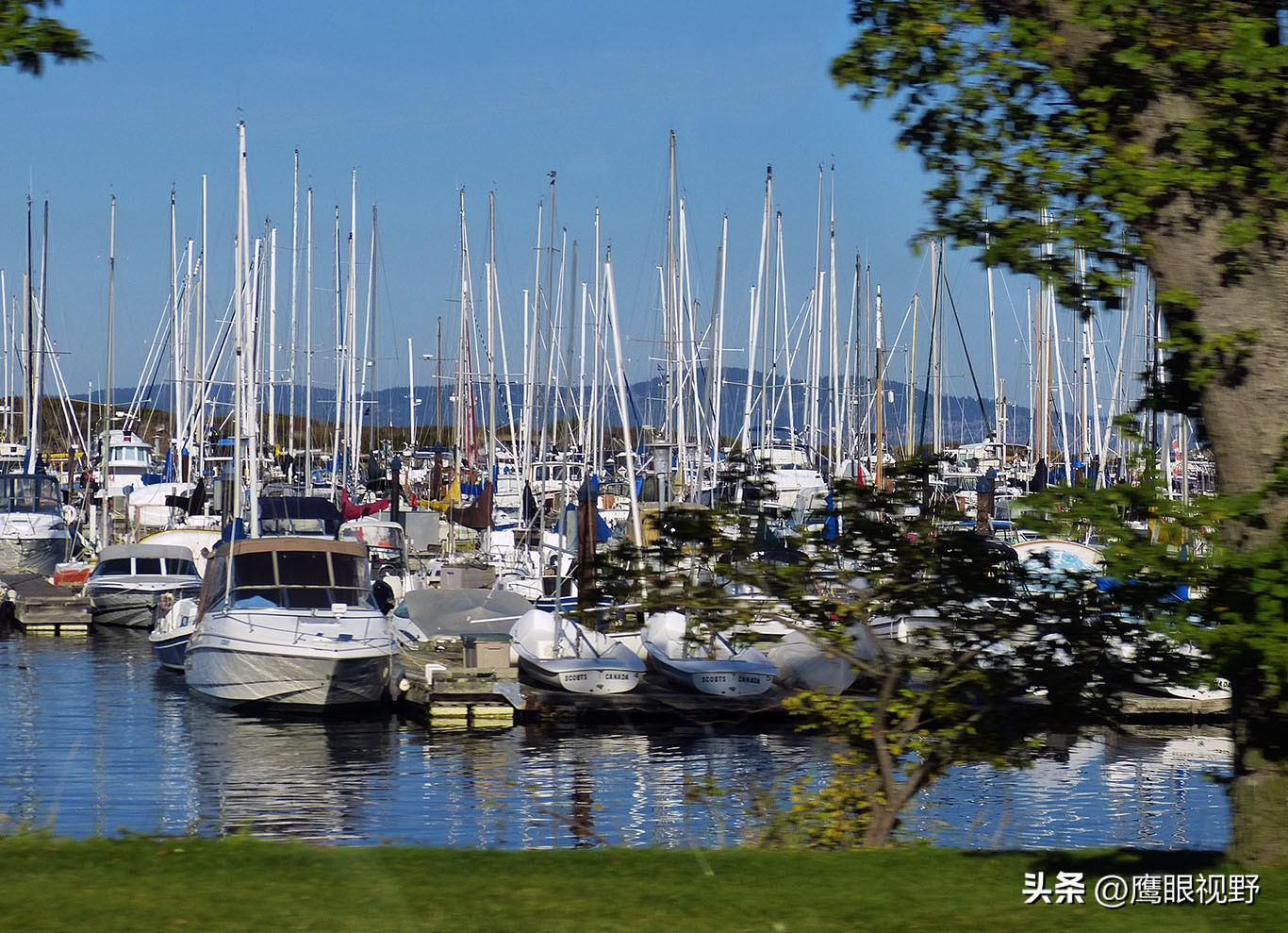 加拿大的维多利亚,加拿大四季如春的城市维多利亚