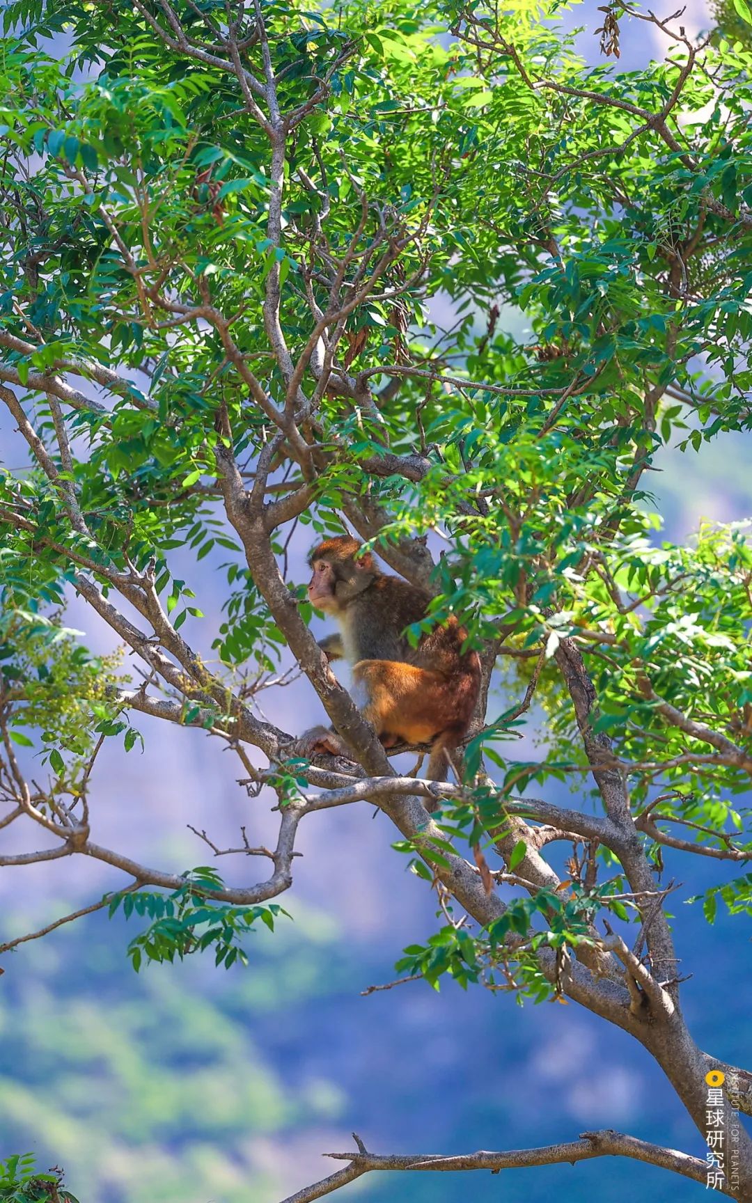 施秉云台山,焦作云台山