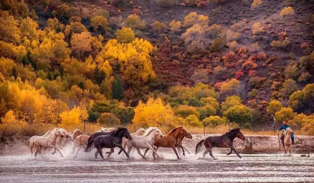 瑾撴涓嶅ǘ鍏嶈垂闃呰鍏ㄦ枃,瑾撴涓嶅ǘ鍏ㄦ枃鍏嶈垂闃呰