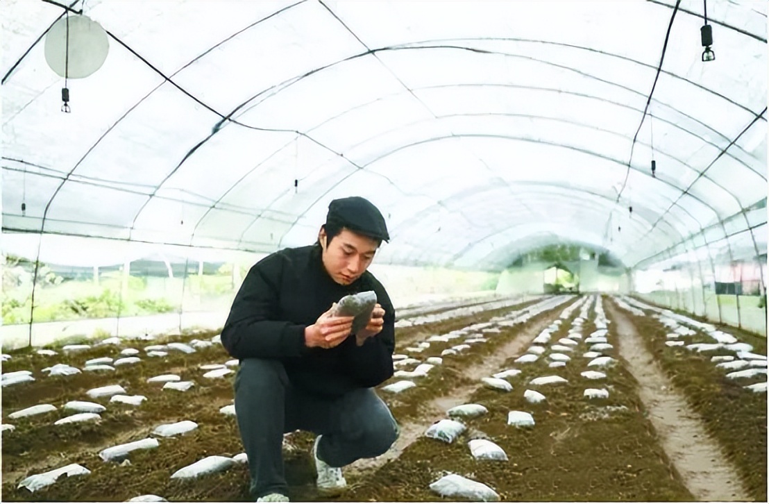 四川省级百强示范家庭农场,全国21家典型家庭农场案例
