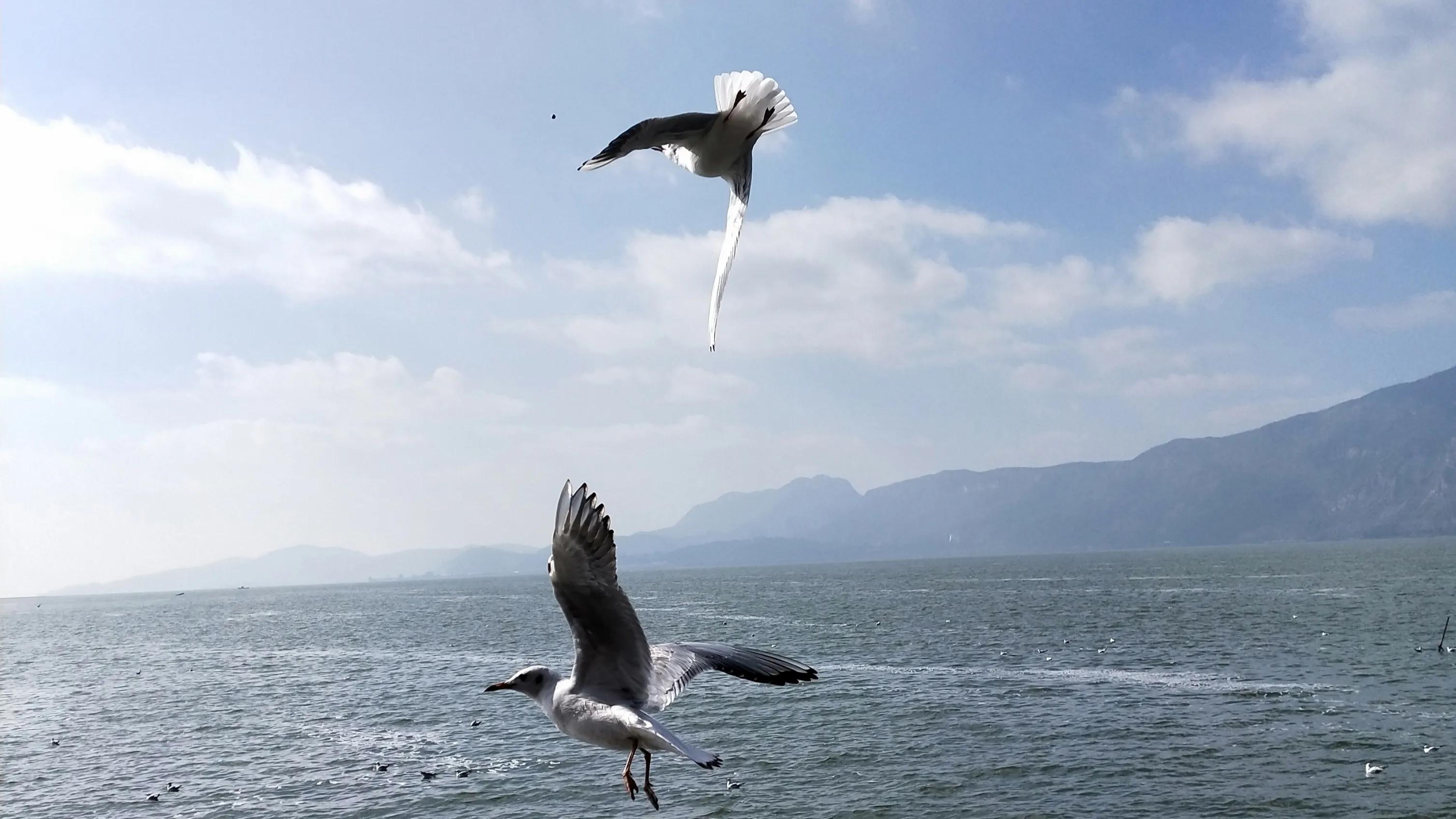 *女熟**？*女熟**