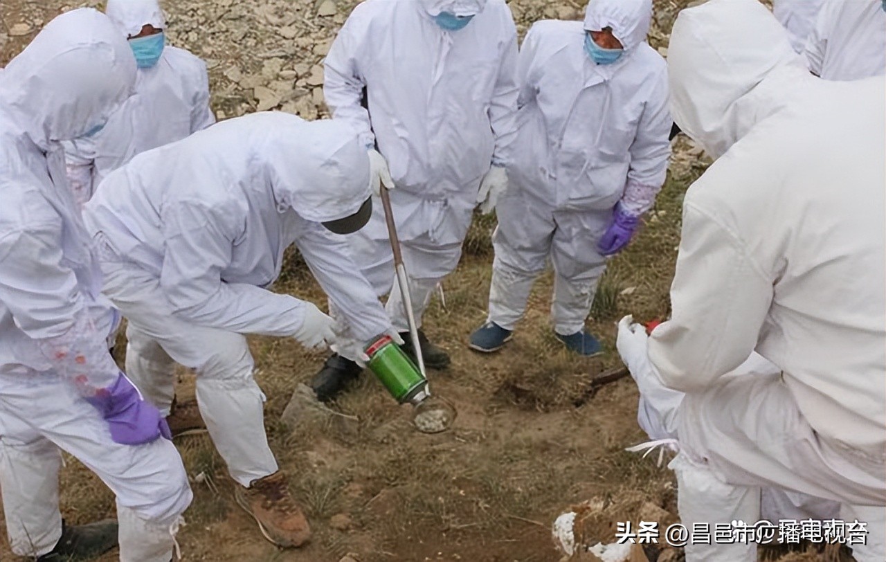 大疫不过三过三必有殃的意思,大疫不过三过三必有殃谁说的