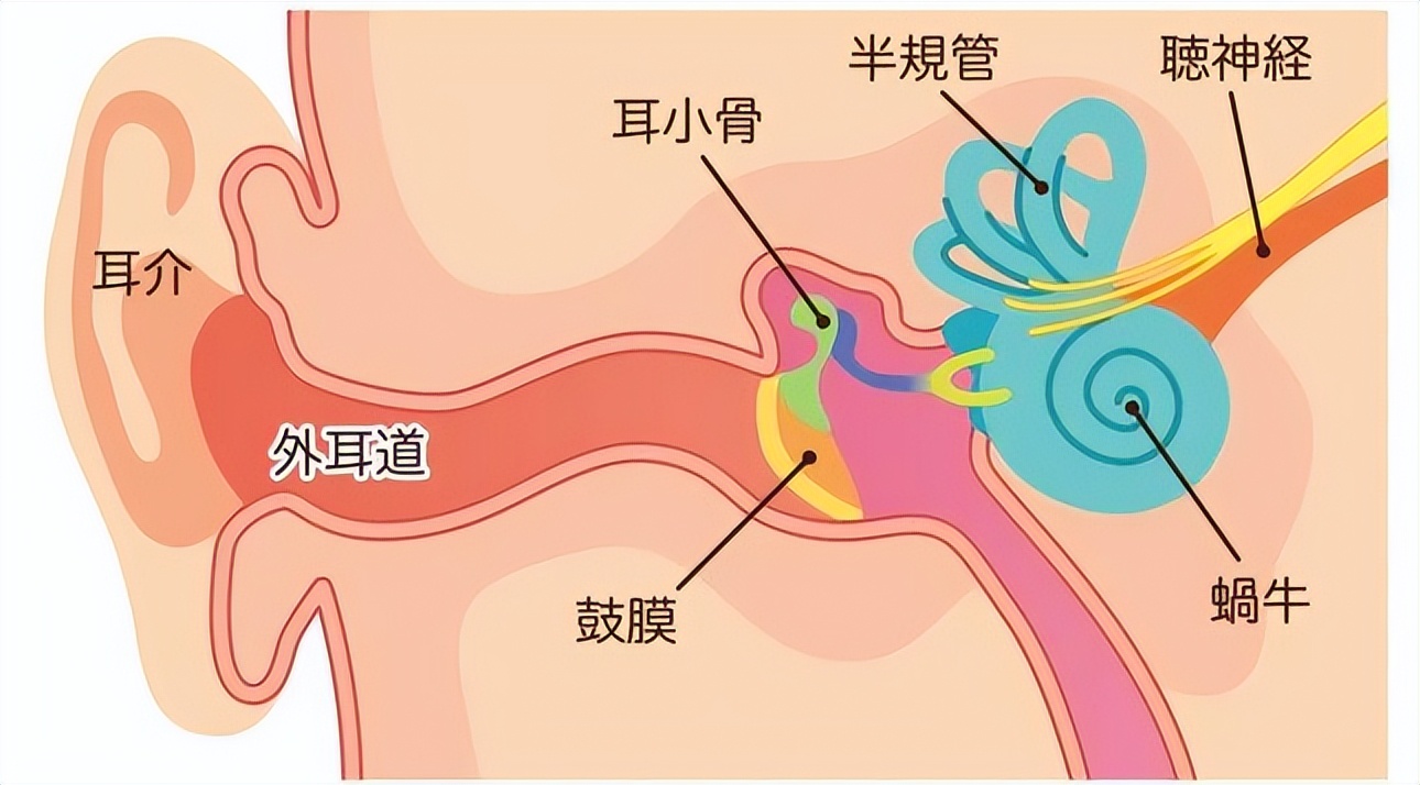 掏耳勺自己掏耳屎的正确方法,掏耳屎为什么这么舒服