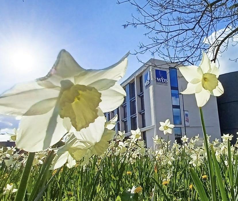 英国留学23Fall-UCL+王爱曼华？申请标准及注意事项详解