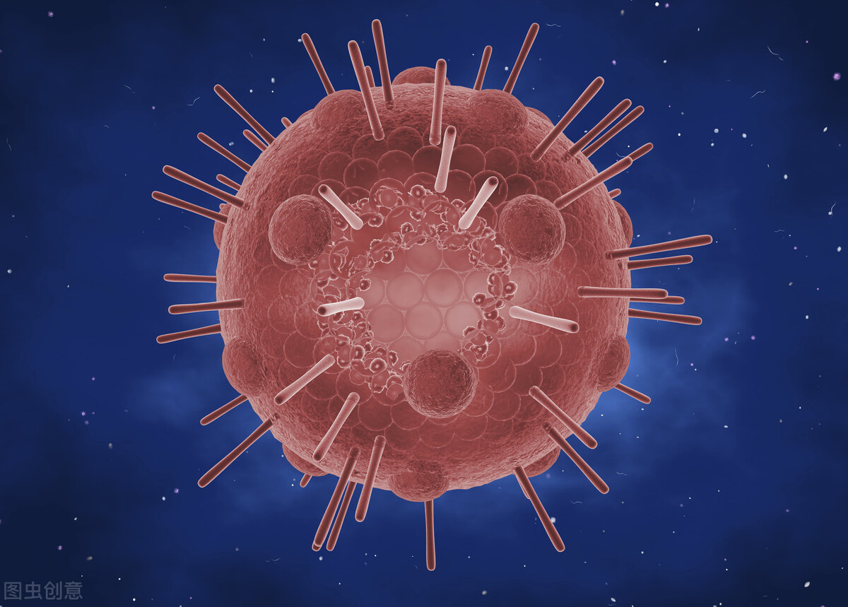 病毒与细菌有什么区别呢,病毒与细菌有什么区别