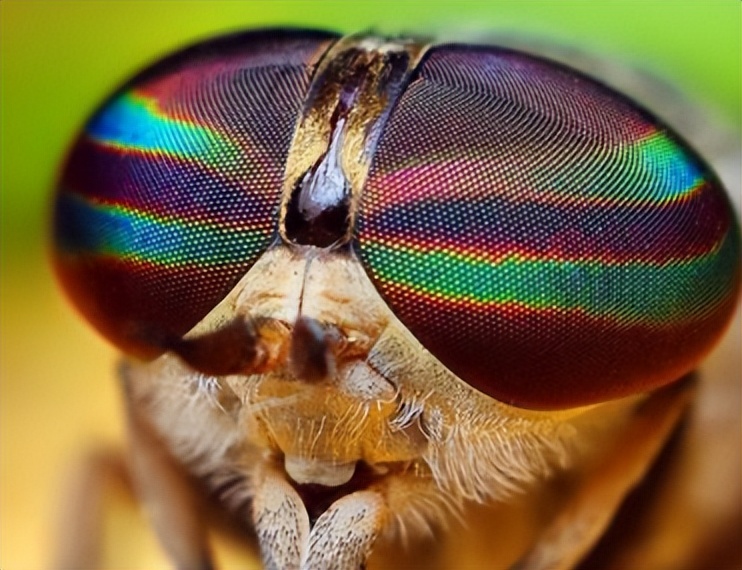 福建大型相控阵雷达,福建舰作战能力与美国航母对比