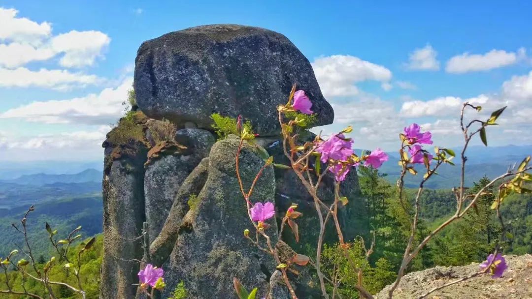 白山游玩攻略路线推荐,白山三日游最佳路线