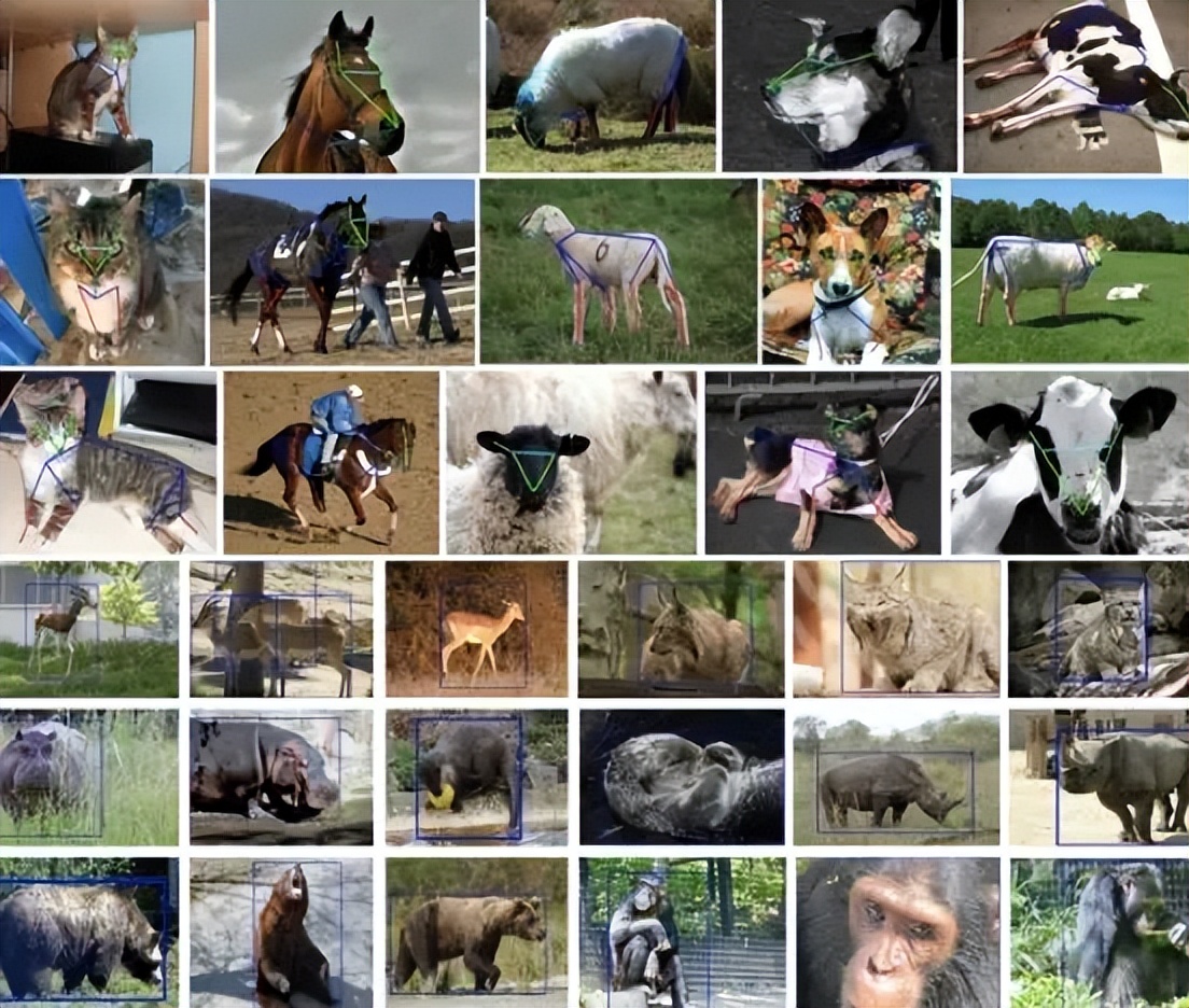 目标检测数据集采集,目标检测图像数据集