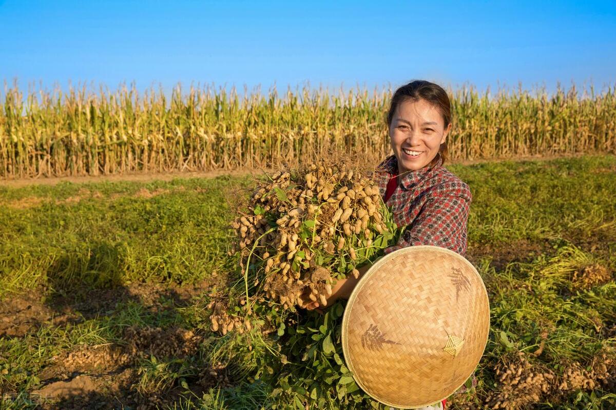 2023养老金调整通知发布了吗,养老金上调最新消息天津市