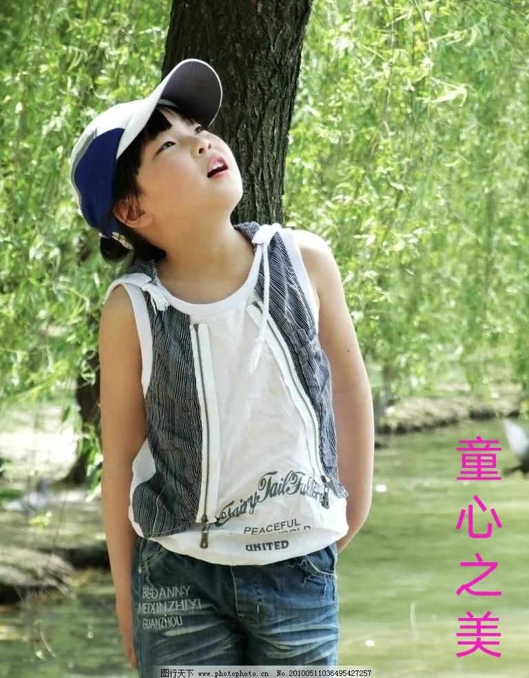 河柳拼音,河柳图