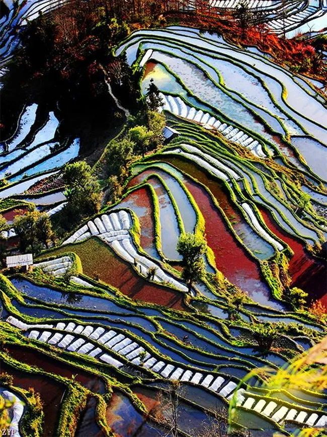 中国人文摄影获奖作品,大美中国摄影作品展获奖