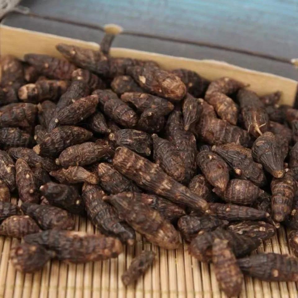 结节息肉特效药偏方,一味中药祛息肉