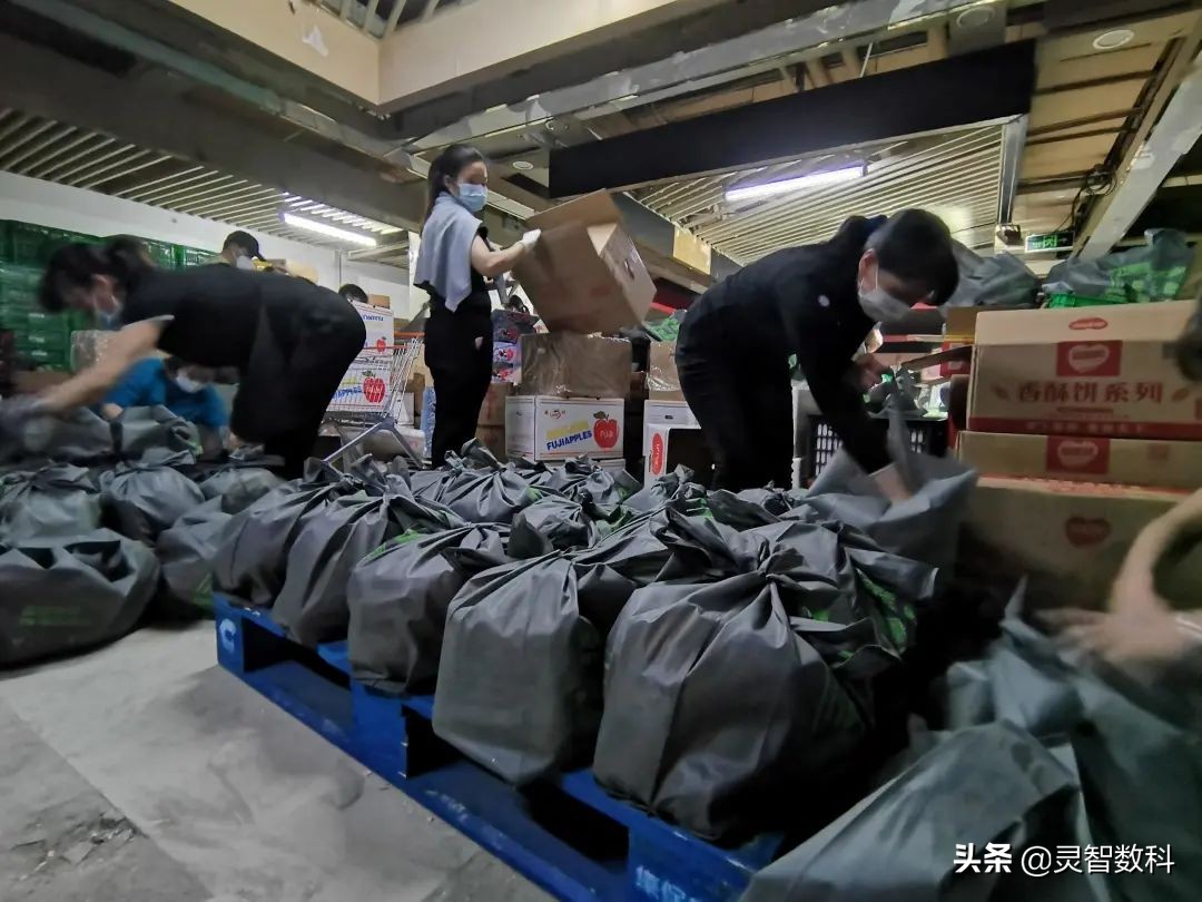 探鱼员工待遇深圳,探鱼员工试工