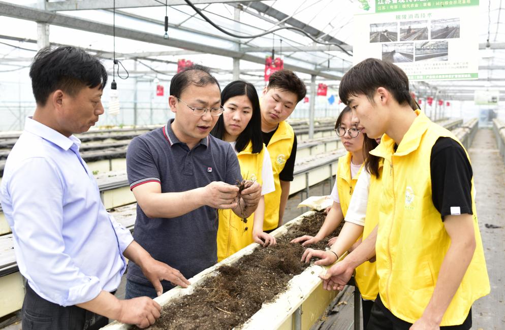 王全智：唤起“后千禧一代”的乡村使命感