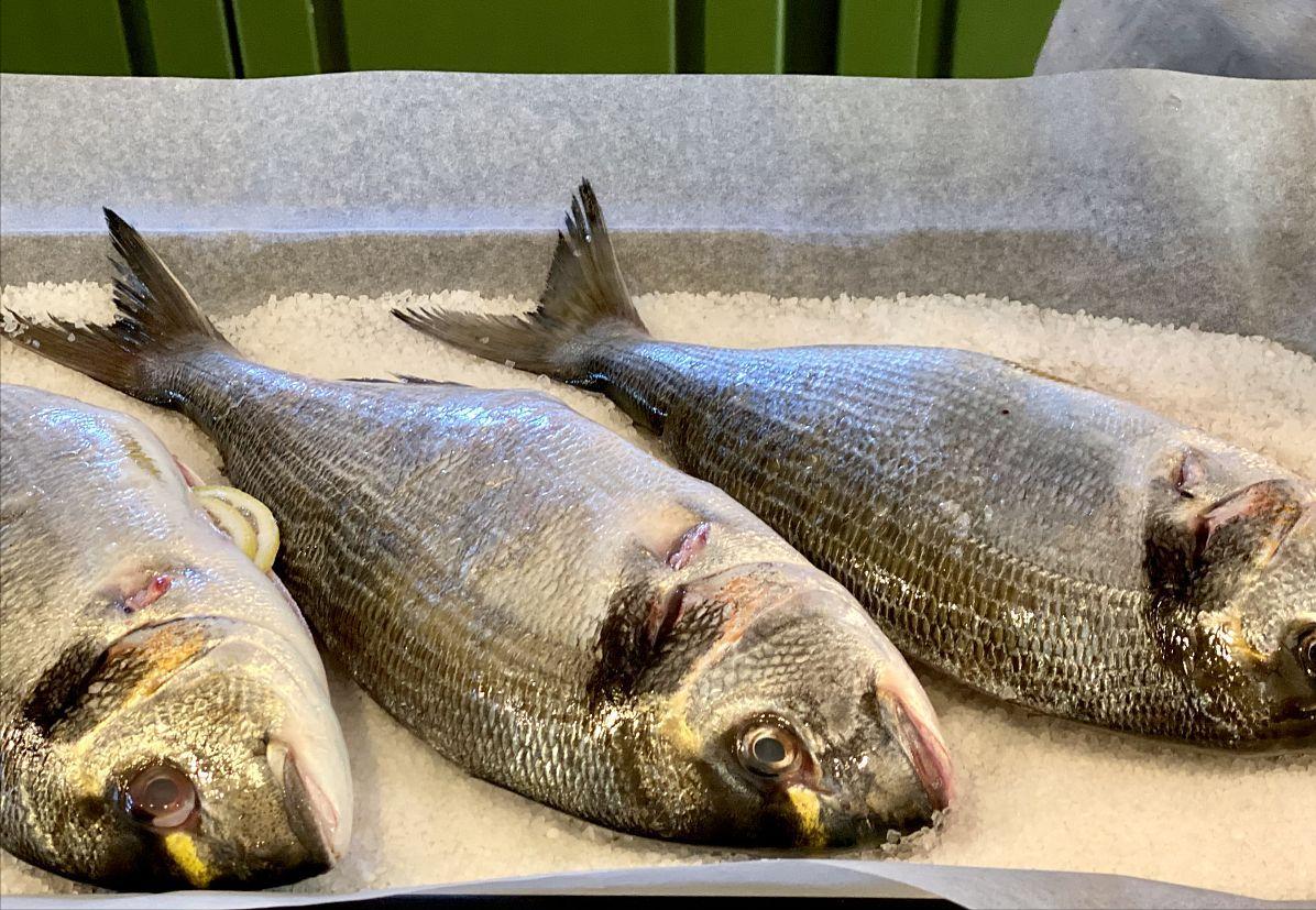 猪价和油价有什么关系,油价猪价粮价有何变化