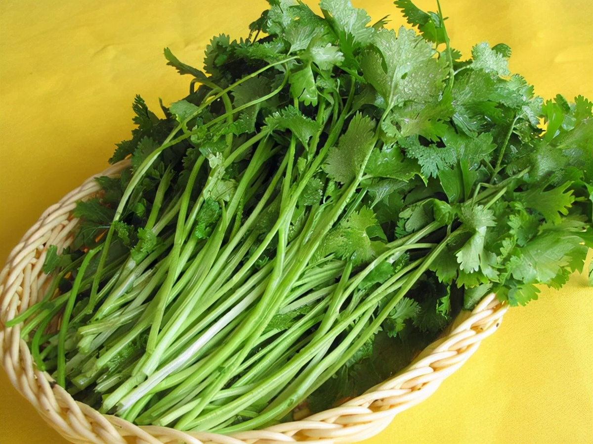 实用有趣省电省钱小窍门妙招姐,生活常识小窍门大全