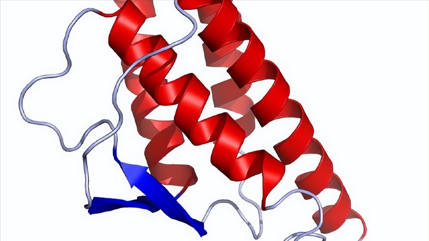 50岁女性下肢无力是什么原因,更年期女性下肢无力