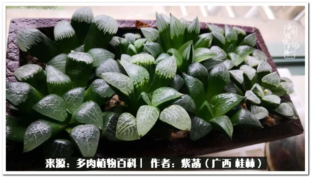 酷暑里的关爱，如十二卷般透亮绵长