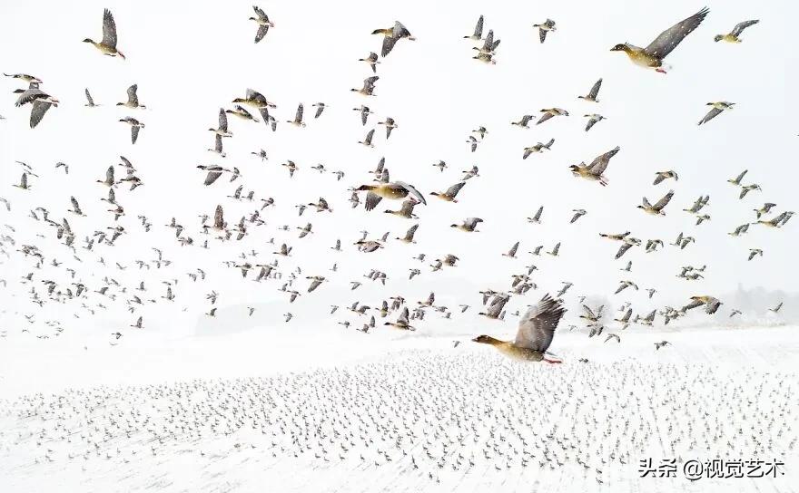 2021年无人机影像大赛冠军,2018年中国无人机摄影大赛第二名