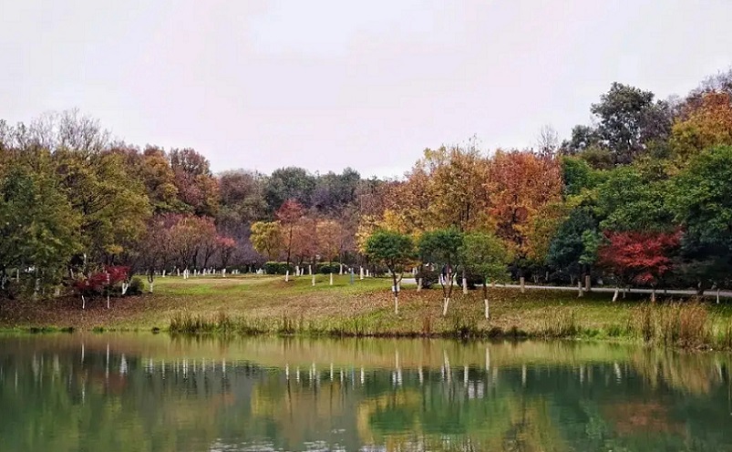 南京免费景点排行榜前十名,南京旅游年卡免费景点一览表