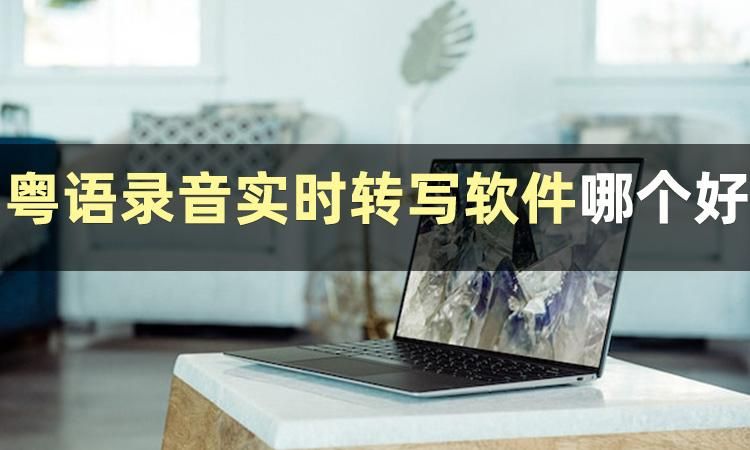 粤语实时翻译的软件,粤语录音实时翻译器