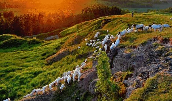 坝上草原天气预报,坝上草原五一去合适吗