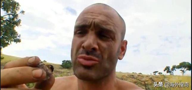 中国女子买下70万平日本海岛,30岁中国女子买下70万平小岛