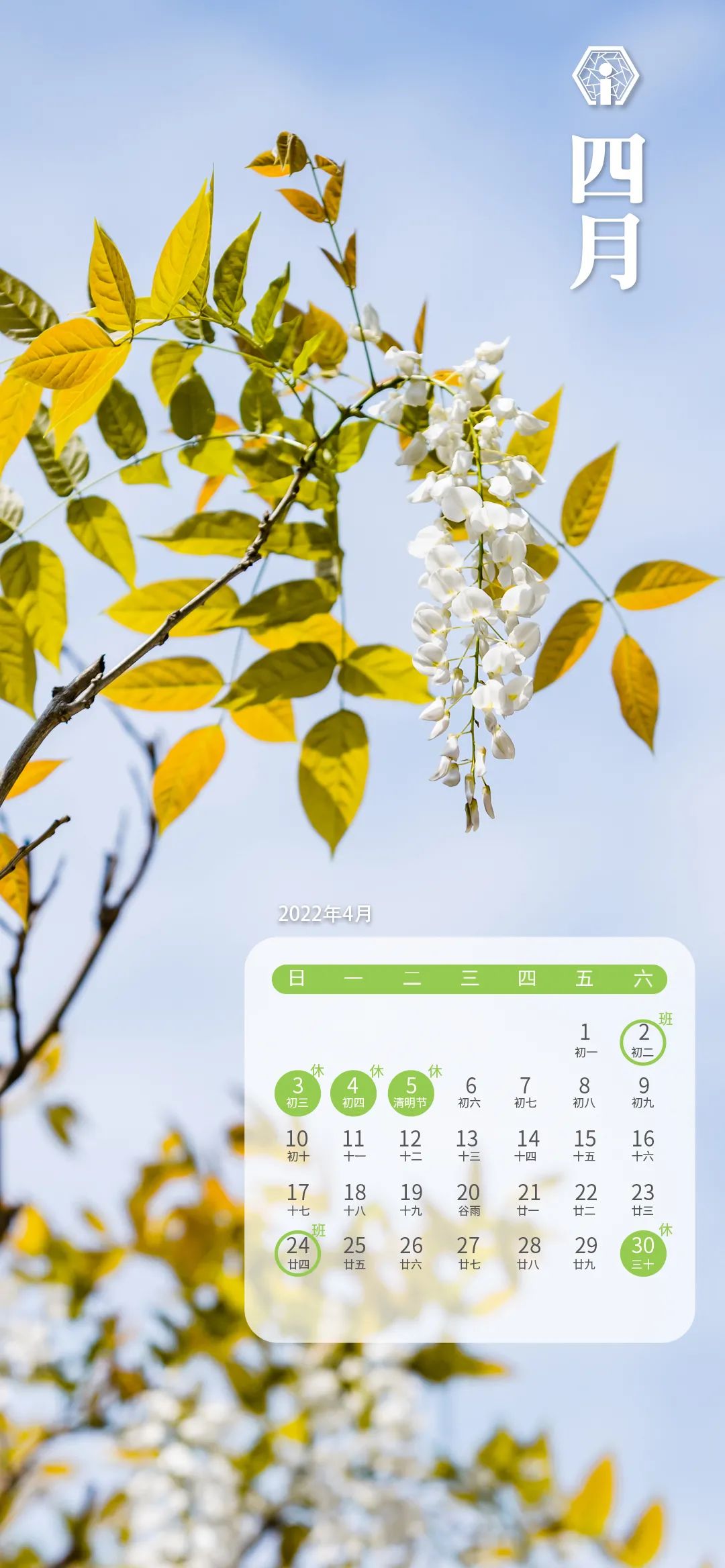 2023新年绝美壁纸,2022新年唯美图片壁纸