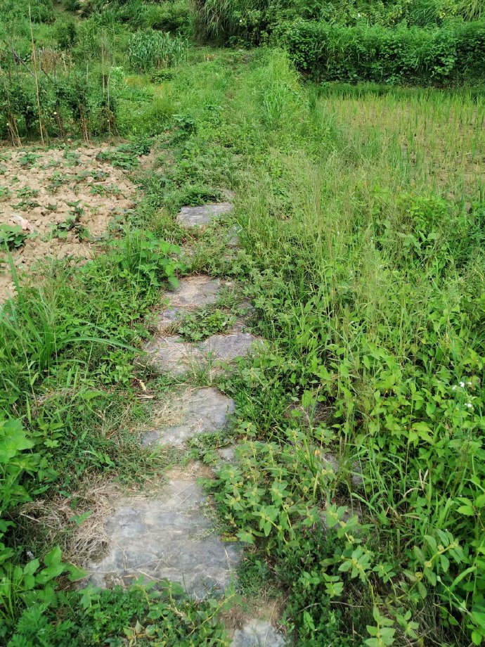 郴乐古道之水头江宜乐古道--广东省乐昌市庆云镇