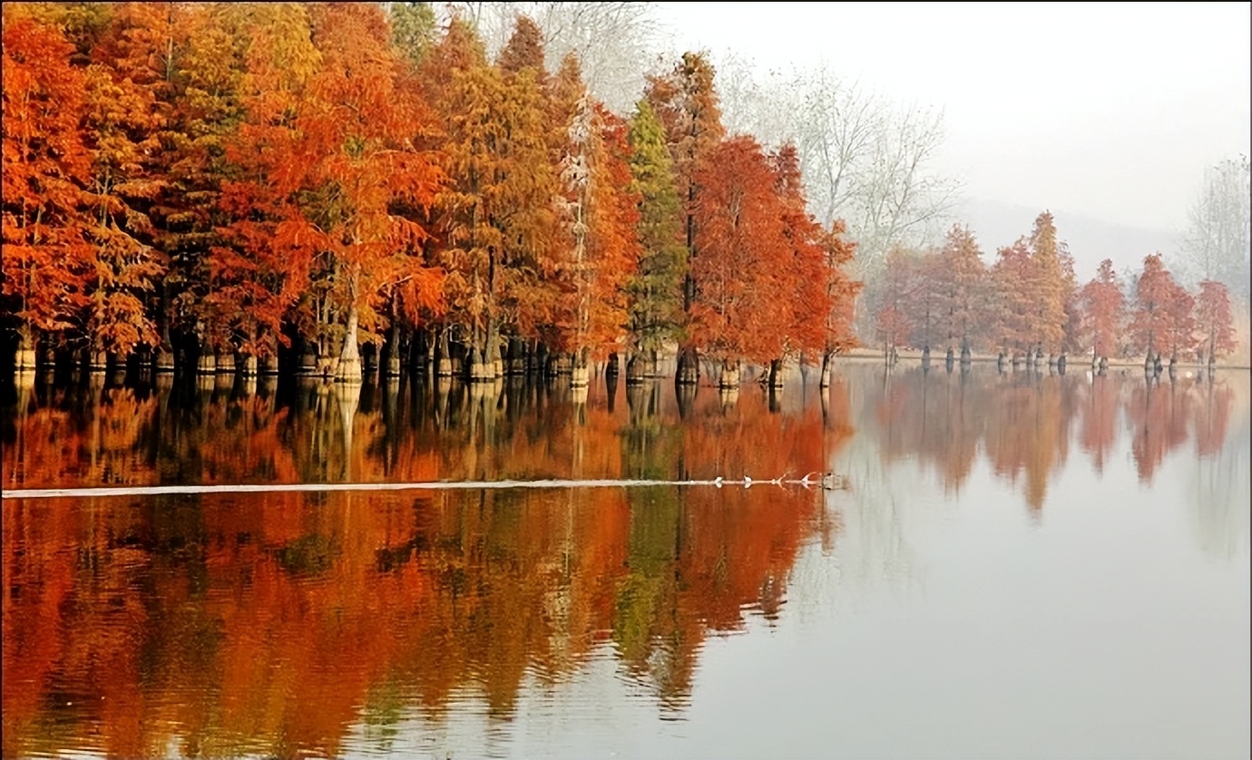 遇到心眼坏的人怎么办,心眼坏的人关心你的隐私和秘密